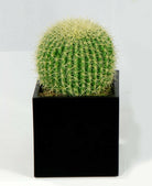 Artificial Barrel Cactus