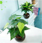 Artificial Silk Alocasia Plant