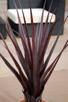 Artificial Aloe Vera Pandanus Plants