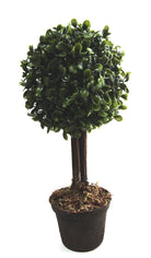 Artificial Single Topiary Boxwood Ball Tree