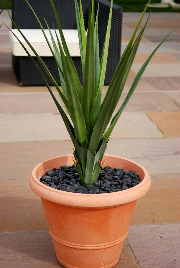 Artificial Aloe Vera Pandanus Plants