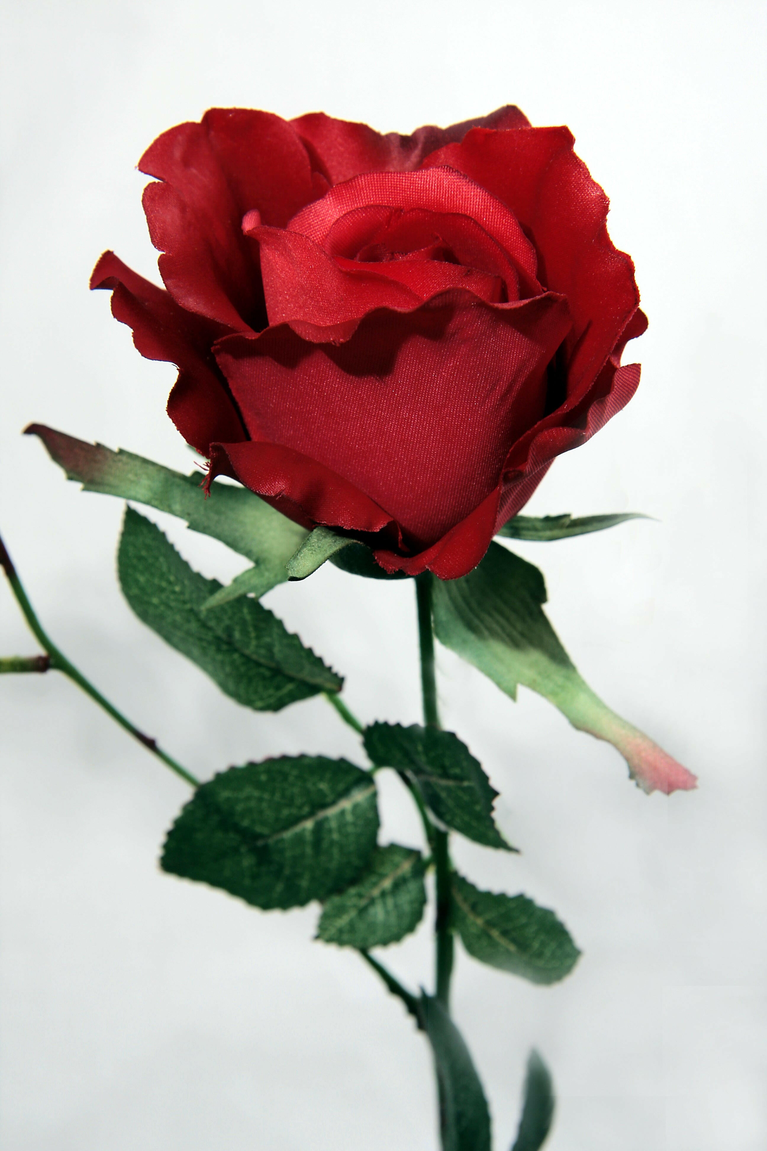 Artificial Silk Rose Single Stem