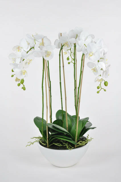 Artificial Silk Phalaenopsis in Slate Pot