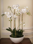 Artificial Silk Phalaenopsis in Slate Pot