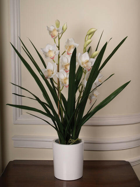 Artificial Silk Cymbidium in White Pot Arrangement