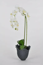 Artificial Silk Phalaenopsis in Slate Pot Arrangement