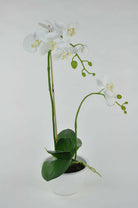 Artificial Silk Phalaenopsis in White Bowl Arrangement