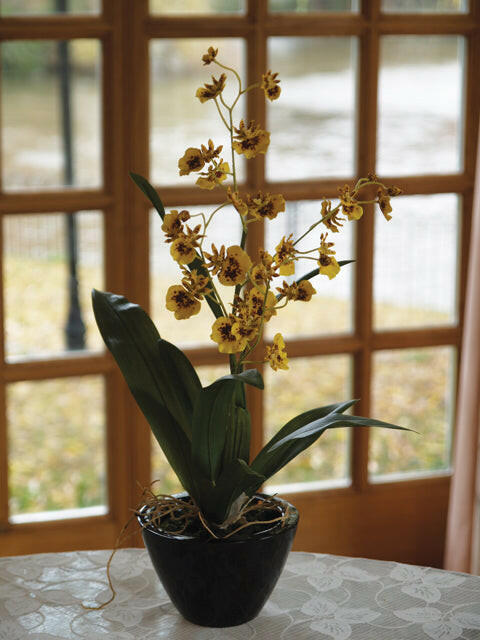 Artificial Silk Dancing Orchid in Brown Bowl Arrangement