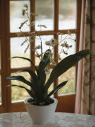 Artificial Silk Dancing Orchid in White Bowl Arrangement