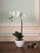 Artificial Silk Phalaenopsis in White Bowl Arrangement