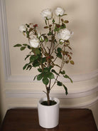 English Rose Tree in White Pot Arrangement