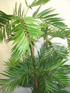 Artificial Silk Parlour Palm Tree