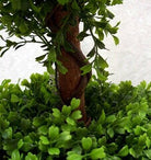 Artificial Topiary Boxwood Double Ball Tree