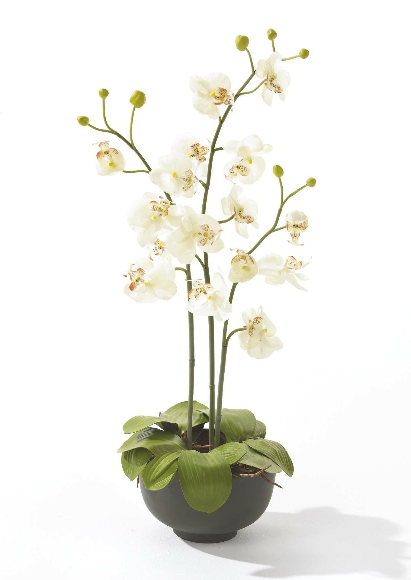 Artificial Phalaenopsis Orchid Arrangement