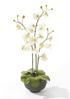 Artificial Phalaenopsis Orchid Arrangement