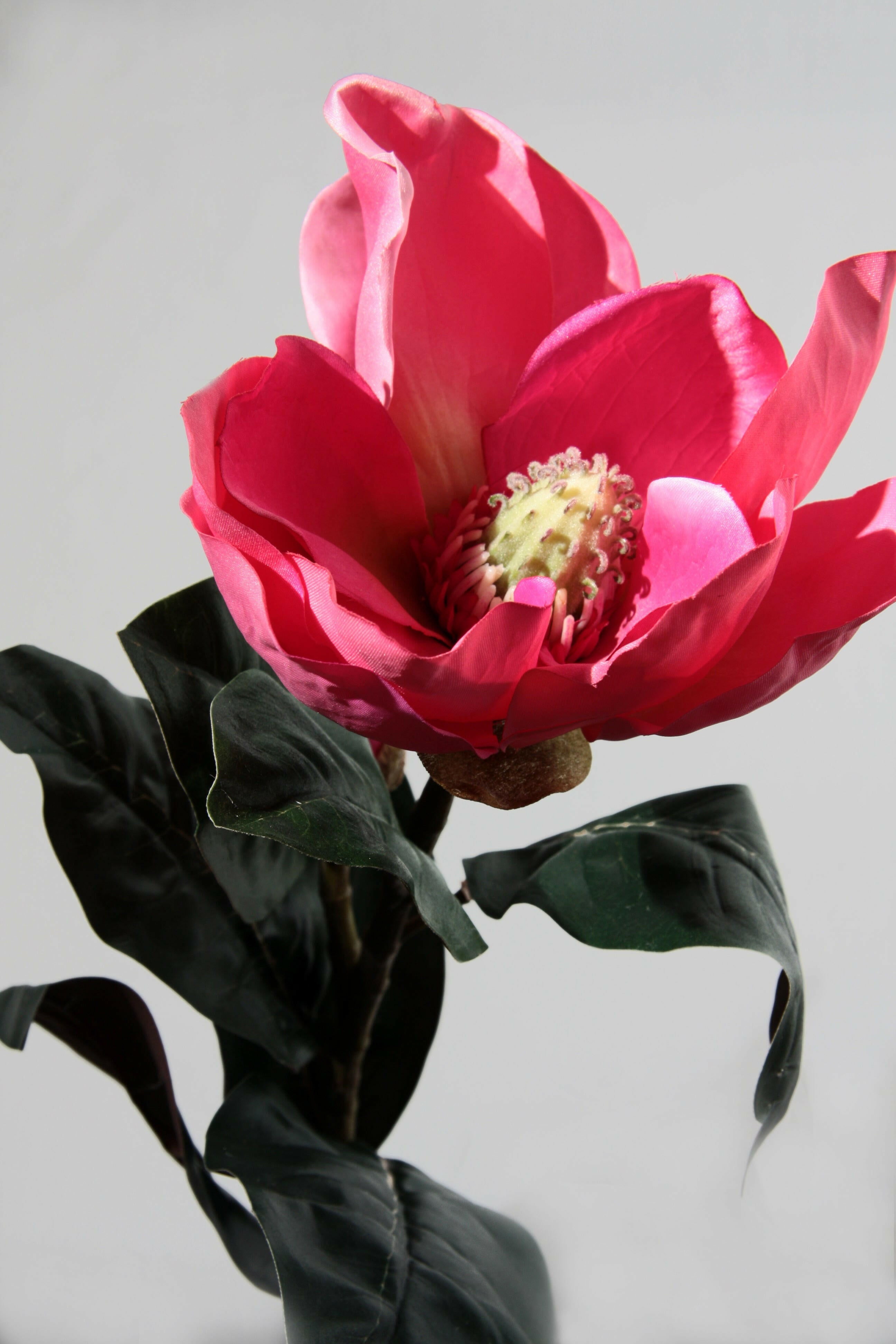 Artificial Silk Magnolia Single Stem