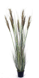 Artificial Papyrus and Onion Grass Plant