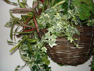 Geranium Large Silk Hanging Basket