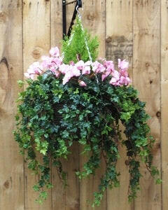 Artificial Plastic Cyclamen Large Hanging Basket