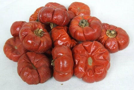 Artificial Solanums Pumpkins