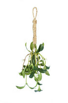 Artificial Mistletoe Kiss Bundle