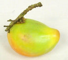 Artificial Mango