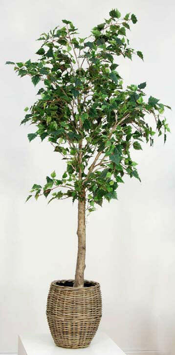 Artificial Silk Birch Tree