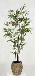 Artificial Silk Bamboo Black Stem Zig-Zag Tree in Pot
