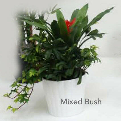 Artificial Silk Mixed Bush in Pot
