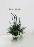 Artificial Bean Herb in Pot