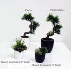 Artificial Podocarpus in Pot