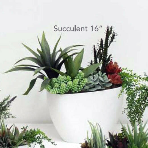 Artificial Succulent Plants