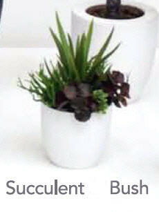 Artificial Succulent Plants