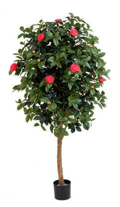 Artificial Silk Camelia Japonica Bush Tree