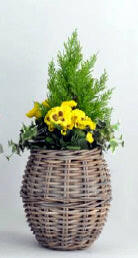 Artificial Silk Pansy Flower Rattan Planter