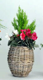 Artificial Silk Cyclamen Flower Rattan Planter