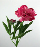 Artificial Real Touch Peony