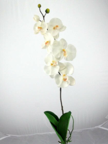 Artificial Phalaenopsis with leaves and roots