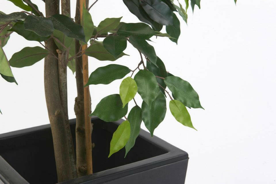 Justartificial.co.uk Ficus Nitida Premium Bush close up green 3