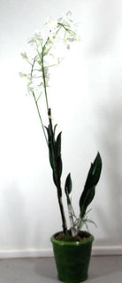 Artificial Dendrobium Orchid Plant