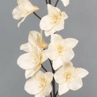 Artificial Silk Singapore Orchid Single Stem