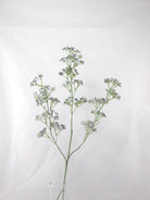 Artificial Silk Gypsophilia Single Stem