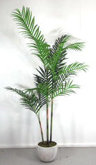 Artificial Silk Areca Palm in Cream Leaf Planter