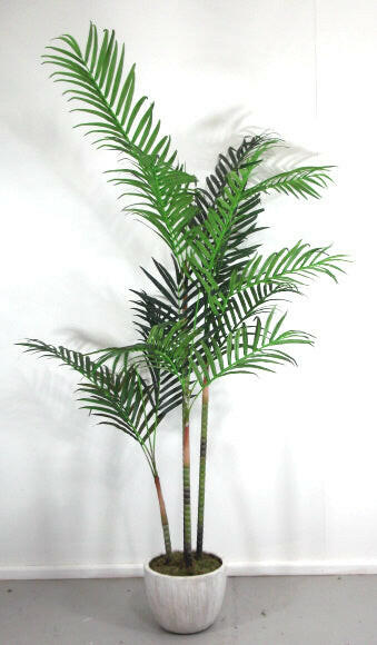 Artificial Silk Areca Palm in Cream Leaf Planter