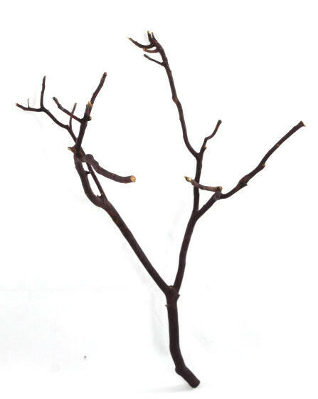 Decorative Manzanita Branch