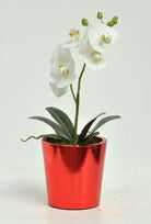 Artificial Silk Orchid Phalaenopsis Single Arrangement