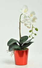 Artificial Silk Orchid Phalaenopsis Single Arrangement