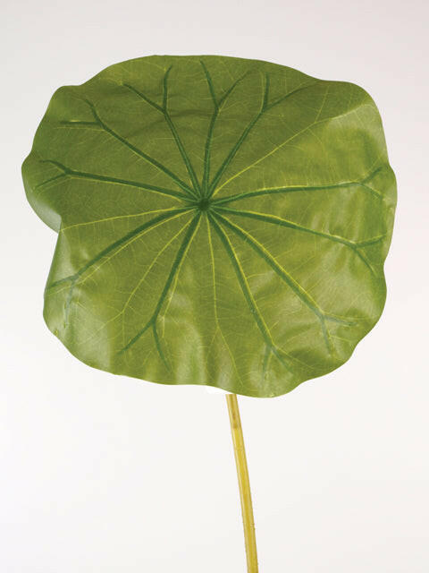 Artificial Silk Lotus Leaf