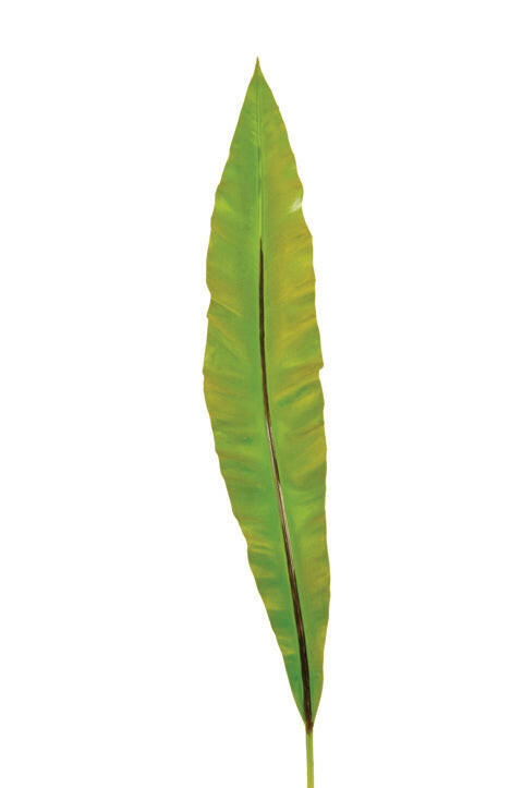 Artificial Asplenium Leaf