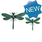 Dragonflies Wall Art - Set of 2